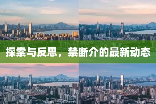 探索与反思，禁断介的最新动态