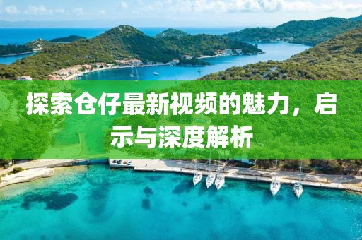探索仓仔最新视频的魅力，启示与深度解析