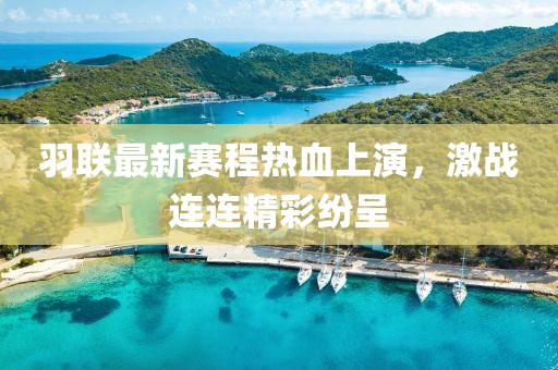 羽联最新赛程热血上演，激战连连精彩纷呈