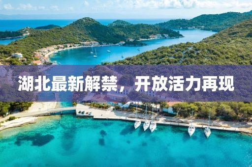 湖北最新解禁，开放活力再现