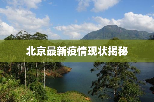 北京最新疫情现状揭秘