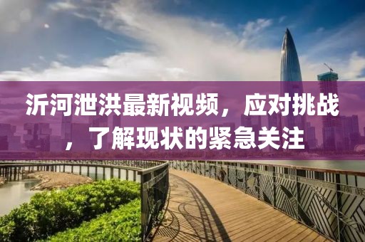 沂河泄洪最新视频，应对挑战，了解现状的紧急关注