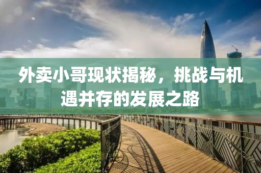 外卖小哥现状揭秘，挑战与机遇并存的发展之路