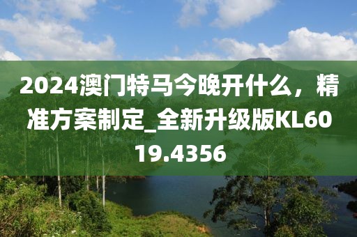 2024澳门特马今晚开什么，精准方案制定_全新升级版KL6019.4356