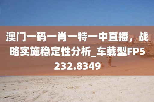 澳门一码一肖一特一中直播，战略实施稳定性分析_车载型FP5232.8349