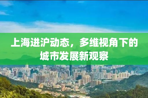 上海进沪动态，多维视角下的城市发展新观察