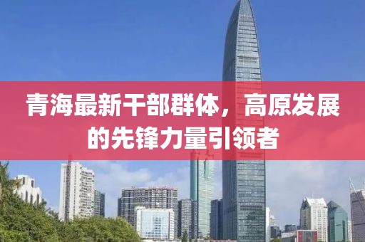 青海最新干部群体，高原发展的先锋力量引领者
