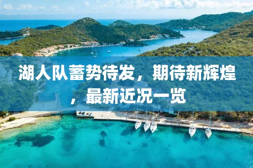 湖人队蓄势待发，期待新辉煌，最新近况一览