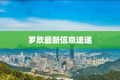 罗欣最新信息速递
