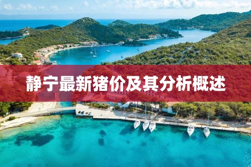静宁最新猪价及其分析概述