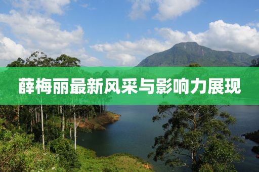 薛梅丽最新风采与影响力展现