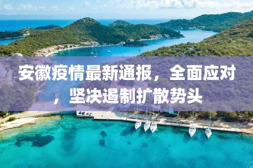 安徽疫情最新通报，全面应对，坚决遏制扩散势头