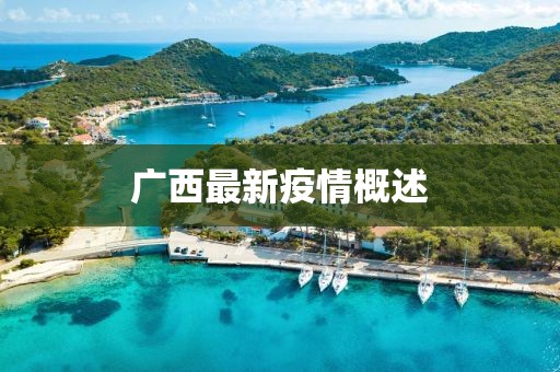 广西最新疫情概述
