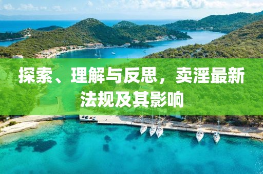 探索、理解与反思，卖淫最新法规及其影响