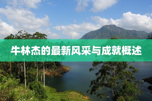 牛林杰的最新风采与成就概述