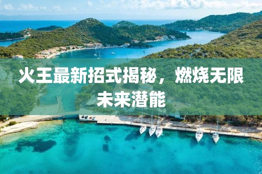 火王最新招式揭秘，燃烧无限未来潜能