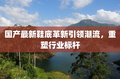 国产最新鞋底革新引领潮流，重塑行业标杆