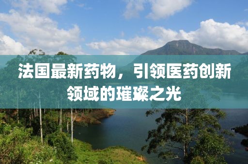 法国最新药物，引领医药创新领域的璀璨之光