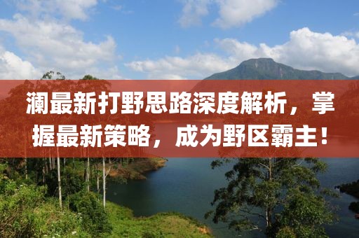 澜最新打野思路深度解析，掌握最新策略，成为野区霸主！