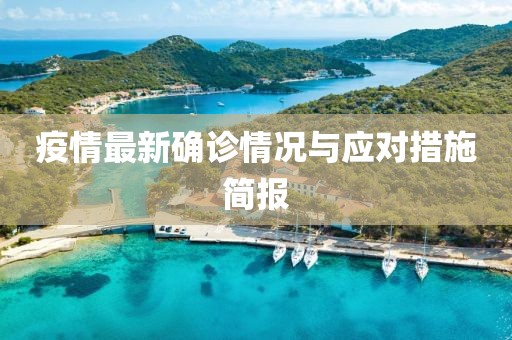 疫情最新确诊情况与应对措施简报