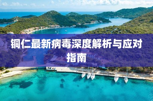 铜仁最新病毒深度解析与应对指南