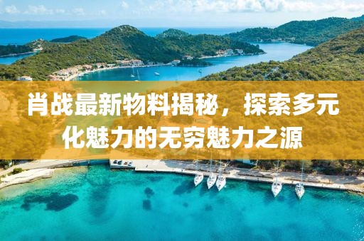 肖战最新物料揭秘，探索多元化魅力的无穷魅力之源