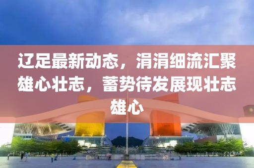 辽足最新动态，涓涓细流汇聚雄心壮志，蓄势待发展现壮志雄心