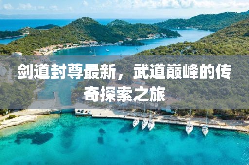 剑道封尊最新，武道巅峰的传奇探索之旅