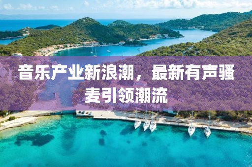 音乐产业新浪潮，最新有声骚麦引领潮流