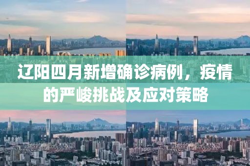 辽阳四月新增确诊病例，疫情的严峻挑战及应对策略