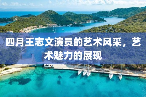 四月王志文演员的艺术风采，艺术魅力的展现