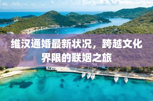 维汉通婚最新状况，跨越文化界限的联姻之旅
