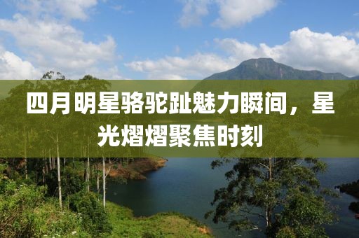 四月明星骆驼趾魅力瞬间，星光熠熠聚焦时刻