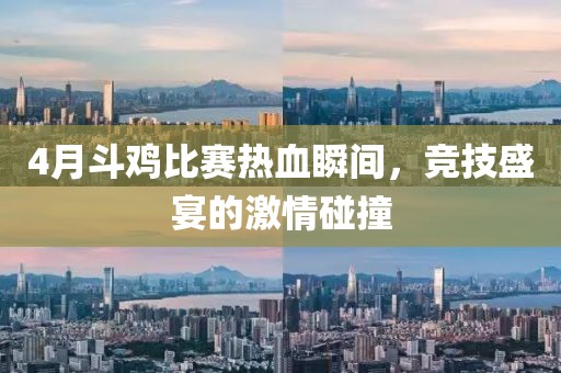 4月斗鸡比赛热血瞬间，竞技盛宴的激情碰撞