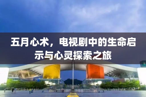 五月心术，电视剧中的生命启示与心灵探索之旅