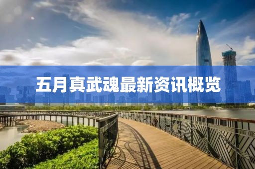 五月真武魂最新资讯概览