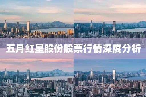 五月红星股份股票行情深度分析