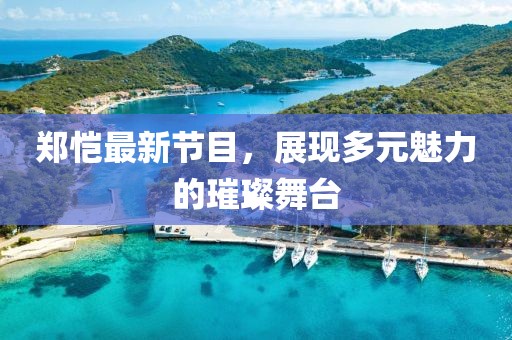 郑恺最新节目，展现多元魅力的璀璨舞台