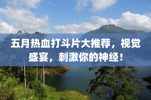 五月热血打斗片大推荐，视觉盛宴，刺激你的神经！
