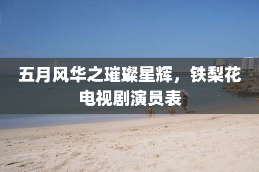 五月风华之璀璨星辉，铁梨花电视剧演员表