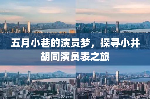五月小巷的演员梦，探寻小井胡同演员表之旅