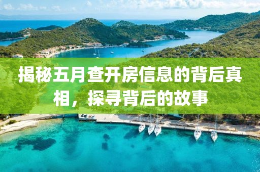 揭秘五月查开房信息的背后真相，探寻背后的故事
