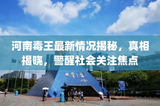 河南毒王最新情况揭秘，真相揭晓，警醒社会关注焦点