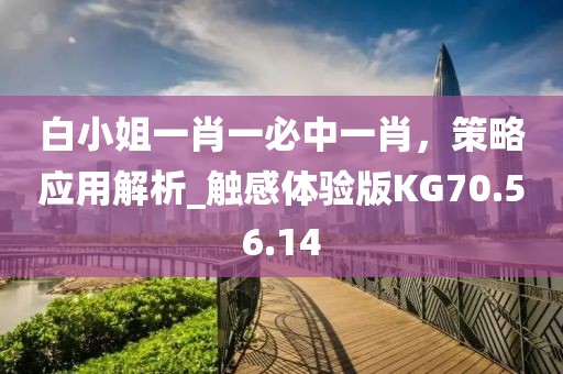 白小姐一肖一必中一肖，策略应用解析_触感体验版KG70.56.14