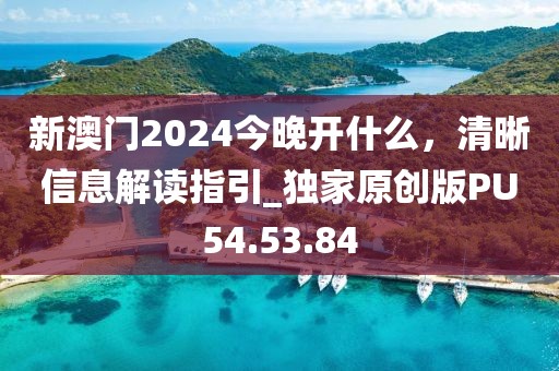 新澳门2024今晚开什么，清晰信息解读指引_独家原创版PU54.53.84