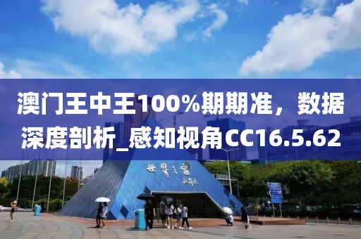 澳门王中王100%期期准，数据深度剖析_感知视角CC16.5.62