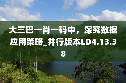 大三巴一肖一码中，深究数据应用策略_并行版本LD4.13.38