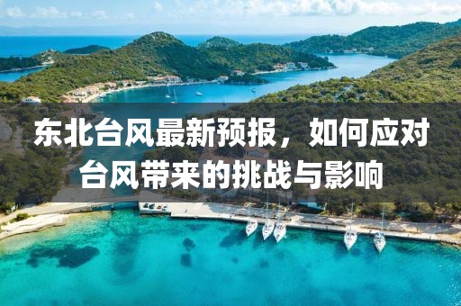 东北台风最新预报，如何应对台风带来的挑战与影响