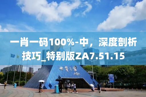一肖一码100%-中，深度剖析技巧_特别版ZA7.51.15