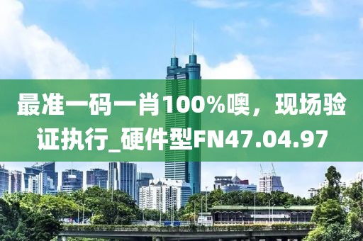 最准一码一肖100%噢，现场验证执行_硬件型FN47.04.97